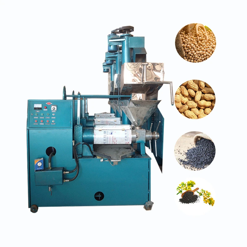 Multi Seed Oil Extraction Machine